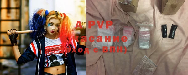 круглые Белокуриха