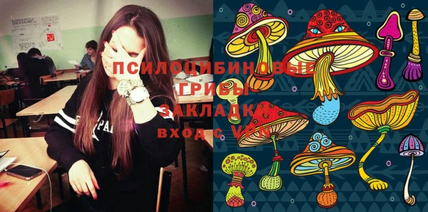 круглые Белокуриха