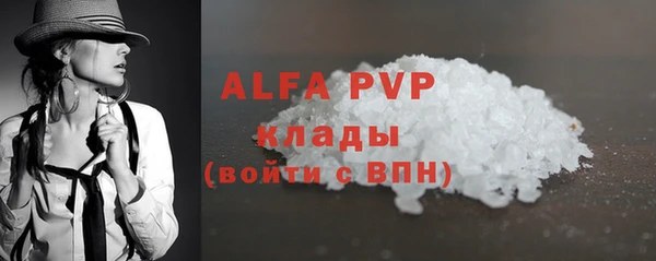круглые Белокуриха