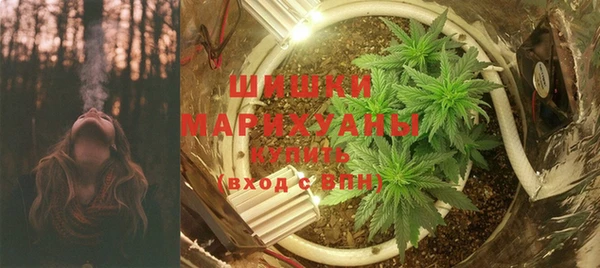 круглые Белокуриха