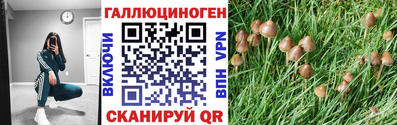 Псилоцибиновые грибы мицелий  Макаров 