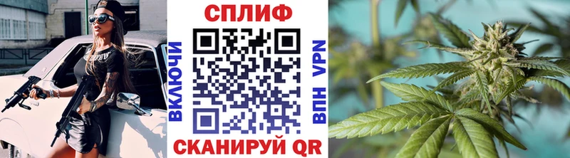 МАРИХУАНА гибрид  Макаров 